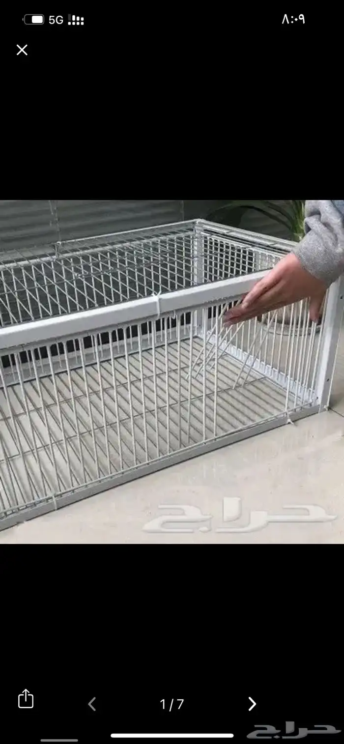 شبك مصيدة حمام 1