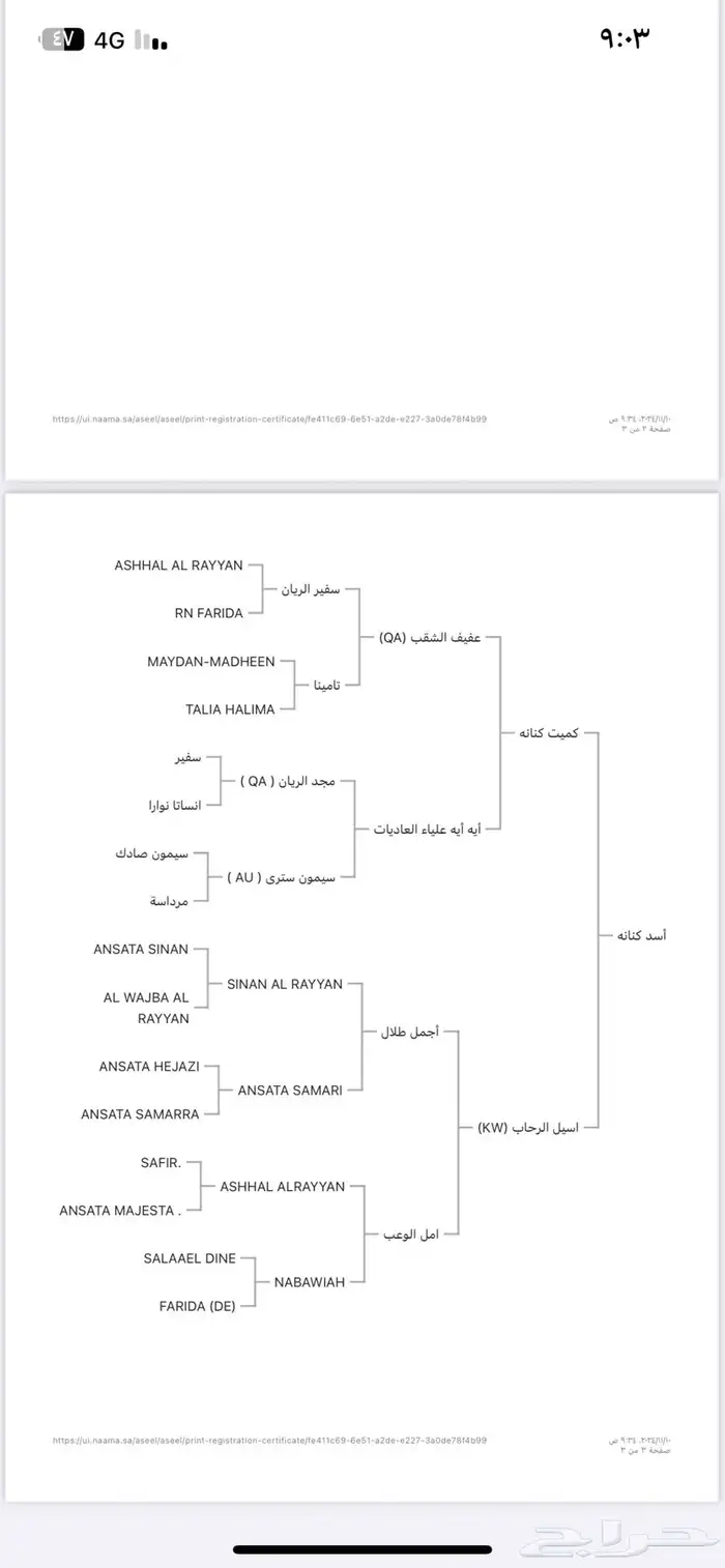 مهر مصري بيور ( واهو ) مشروع فحل وجمال 4