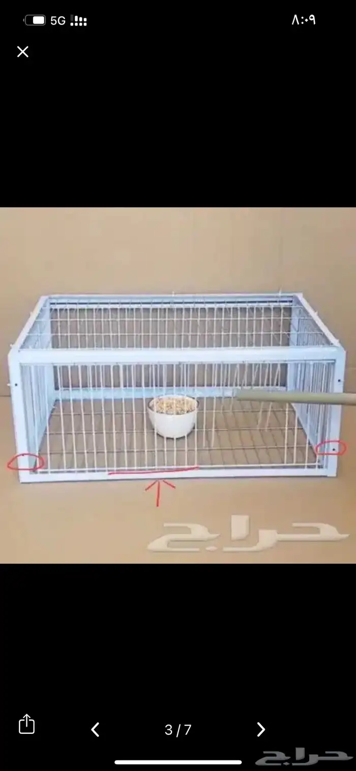 شبك مصيدة حمام 0