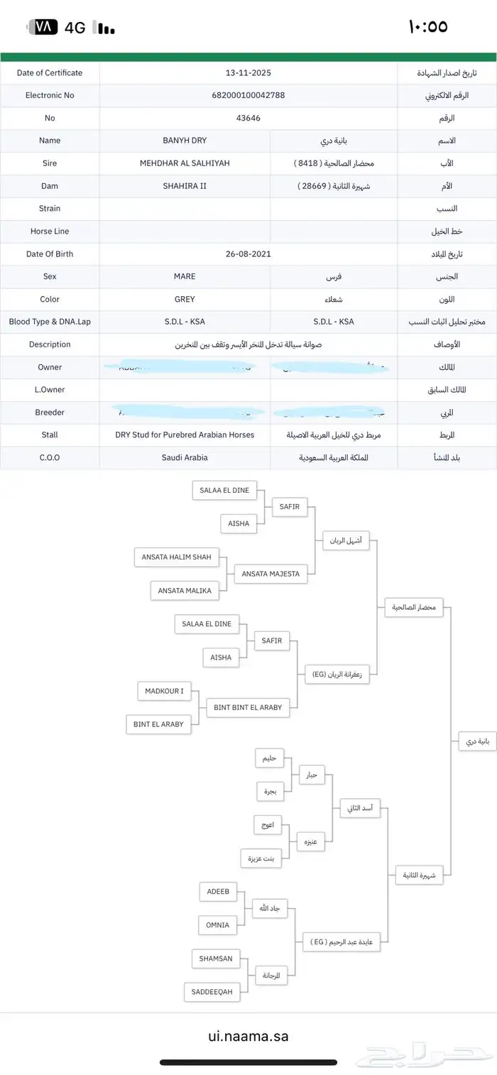 فرس واهو معه مهره   تم البيع 5