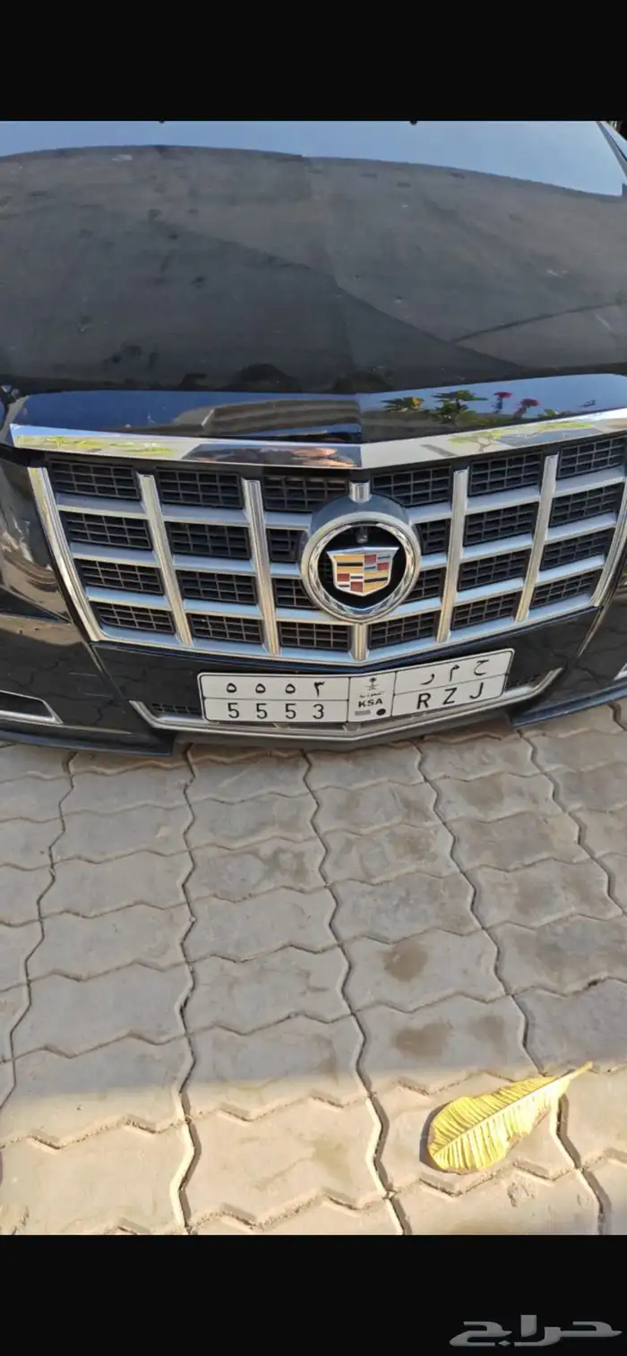 لوحة مميزة للبيع 0