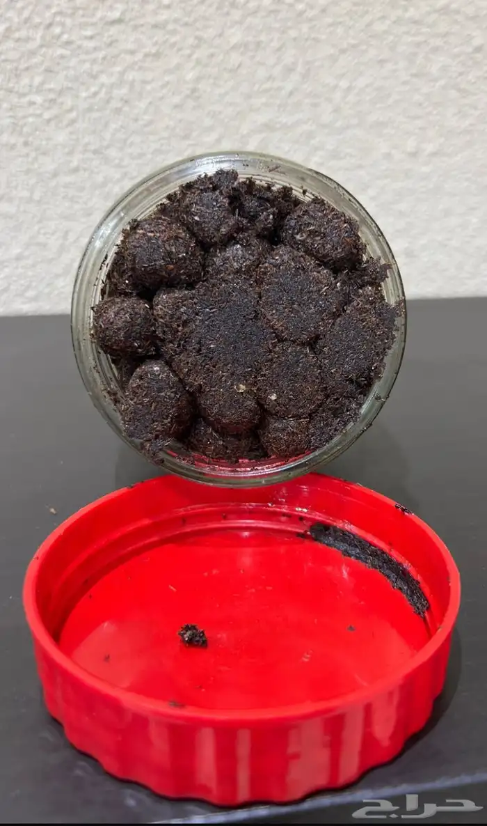 معمول وبخور دوسري فاخر 5