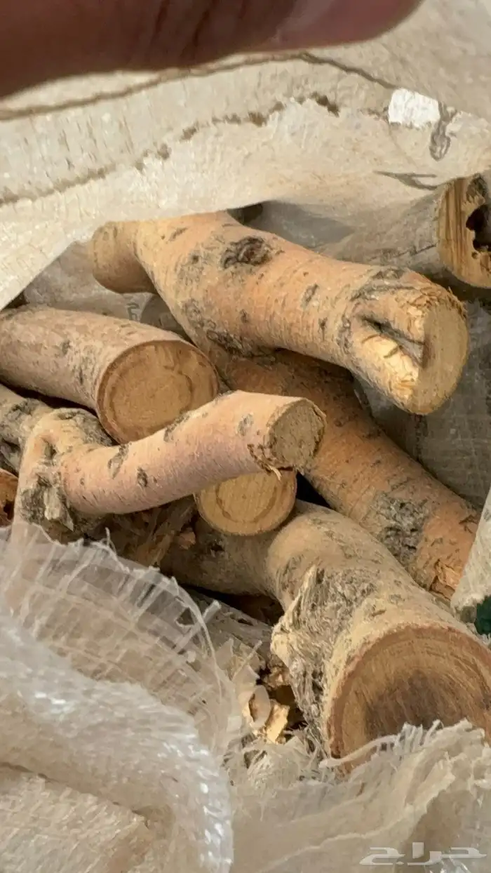 حطب مستورد سمر 2