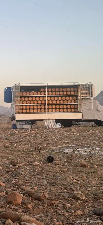 جمس نحل خلايا شمراني index