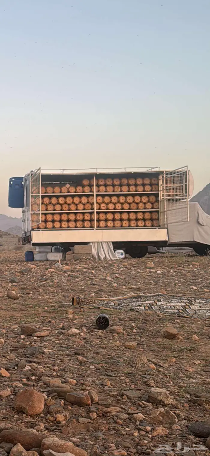 جمس نحل خلايا شمراني 0