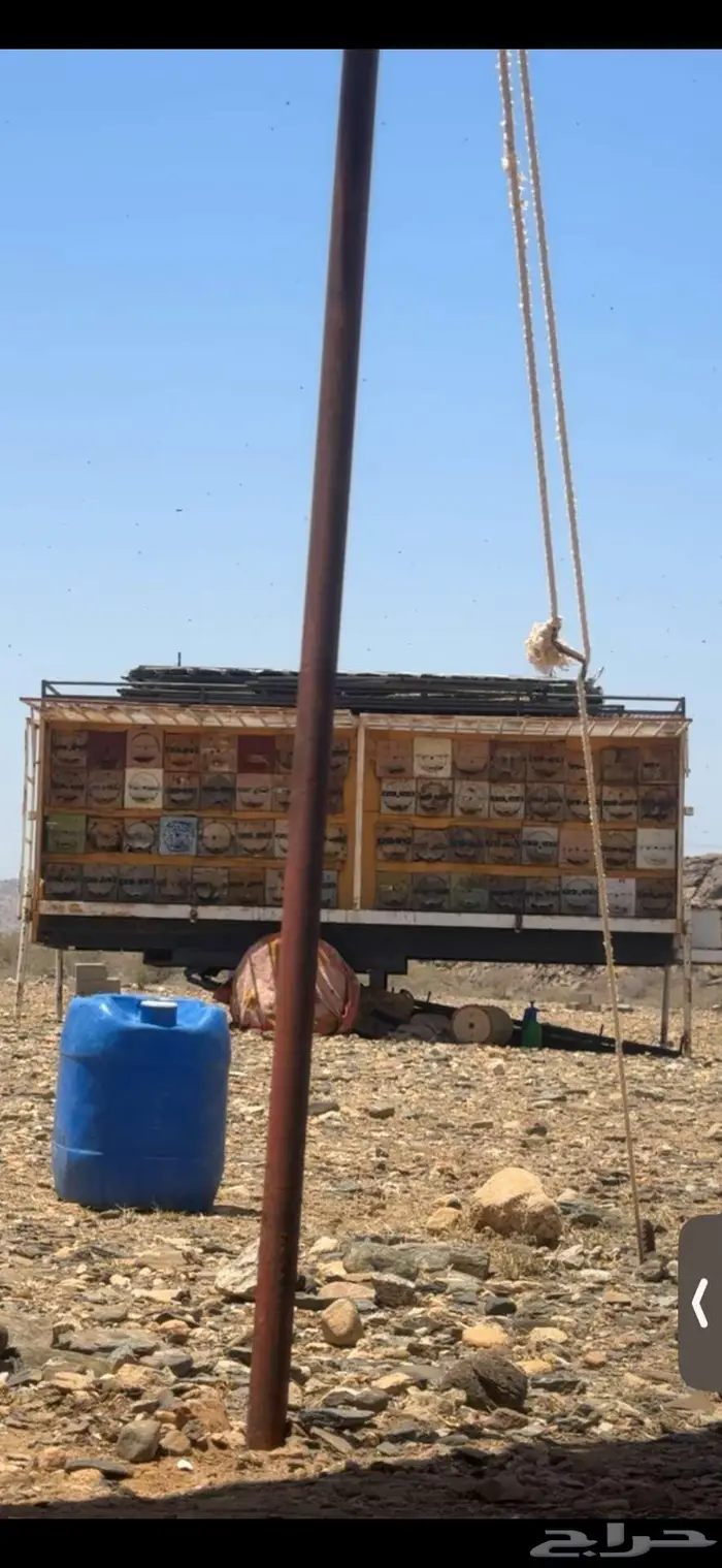 جمس نحل خلايا شمراني 8