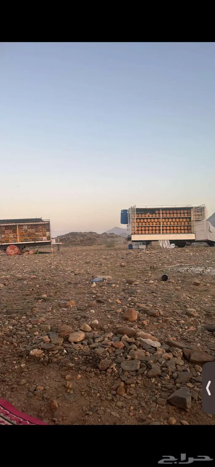 جمس نحل خلايا شمراني 9