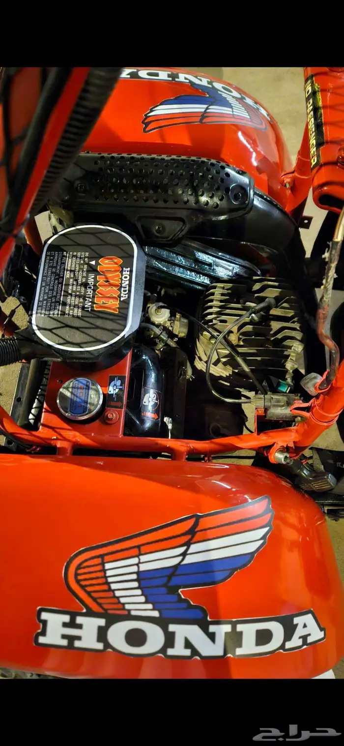 بقي هوندا اوديسي fl250 كلاسيك 1983 16