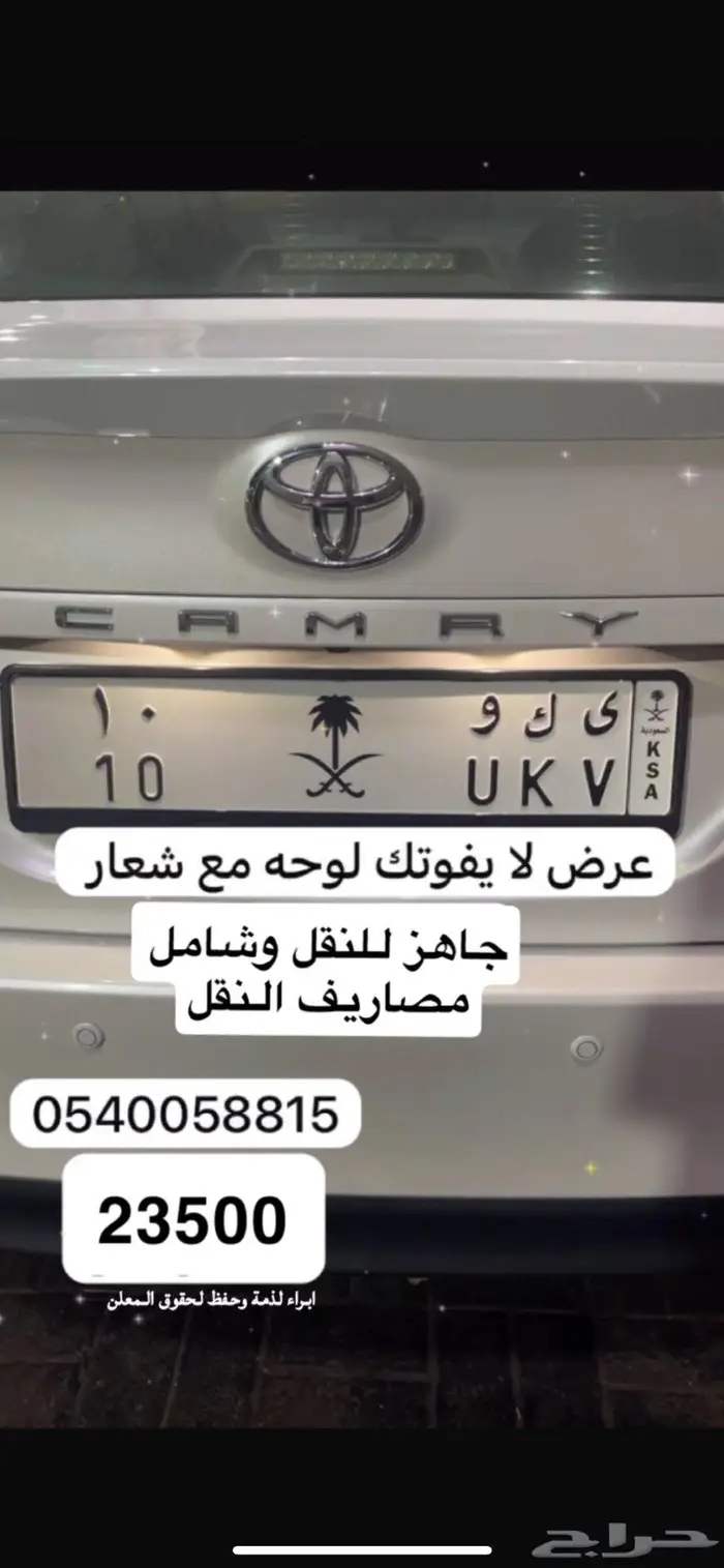 لوحة رقم 10 مع شعر 0