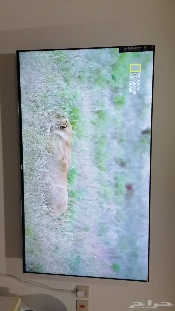 شاشه 70 بوصه اسمارت شبه جديده بي كيسه 6