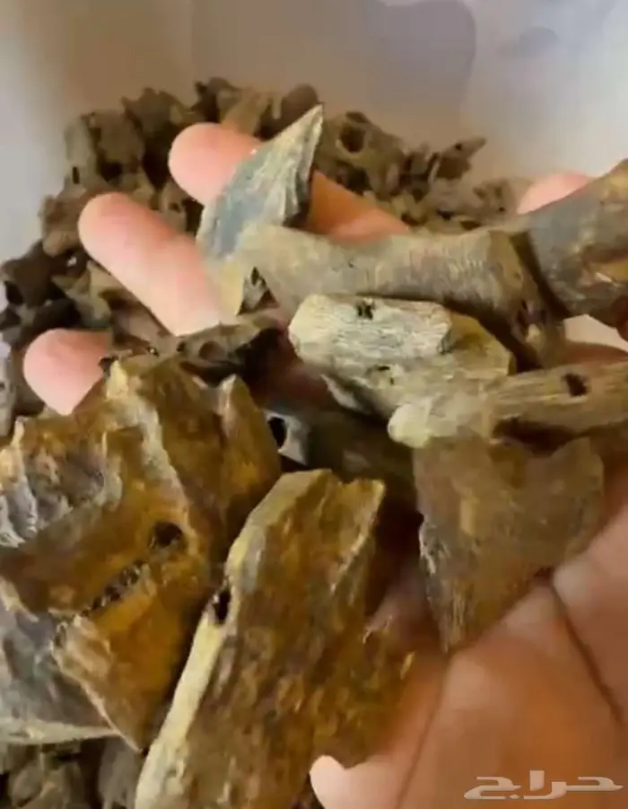 عود صيني كينام فاخر 2