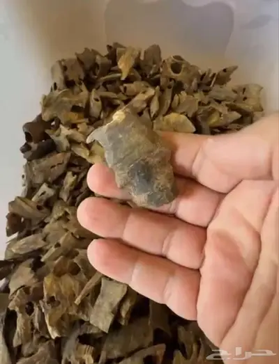 عود صيني كينام فاخر index