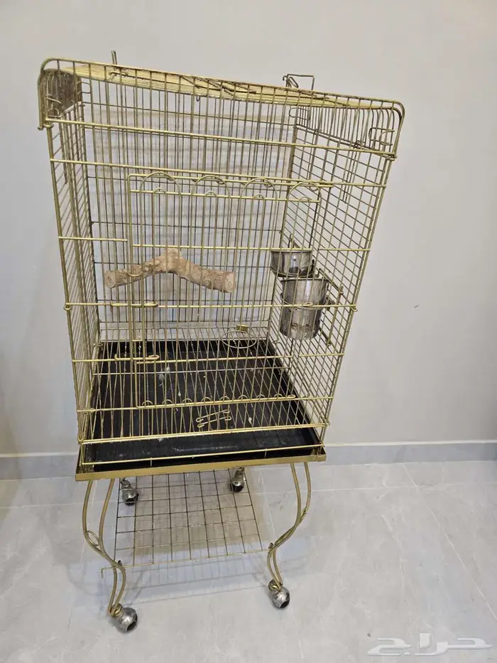 اكل كاسكو امزوني وقفصين 0