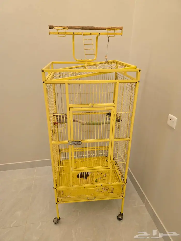 اكل كاسكو امزوني وقفصين 1