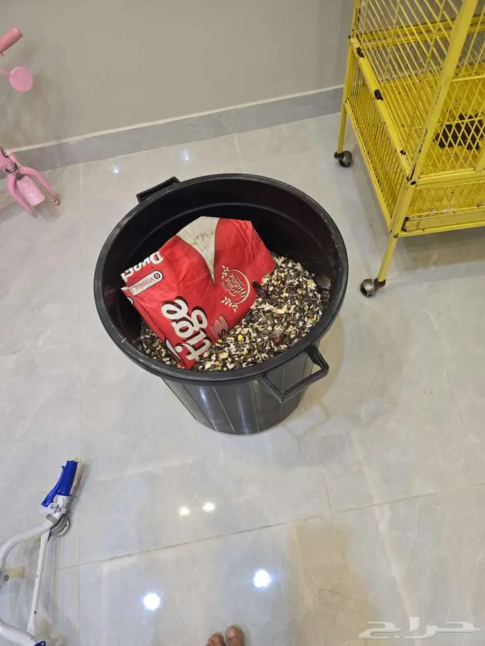 اكل كاسكو امزوني وقفصين 2