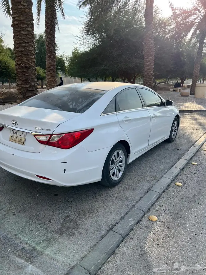 سوناتا نظيف 0