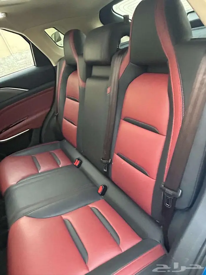 فاو بيستورن 2020 6