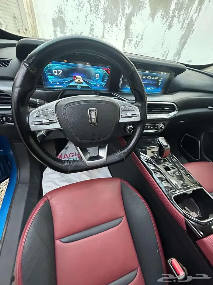 فاو بيستورن 2020 3