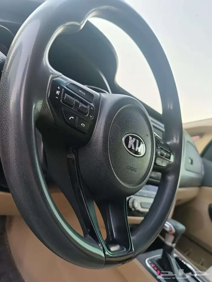 كيا كارنيفال 2019 11