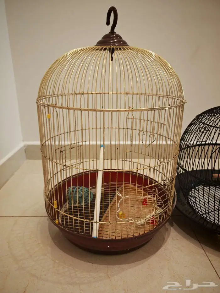 قفصين عصافير او طيور للبيع قفص 2