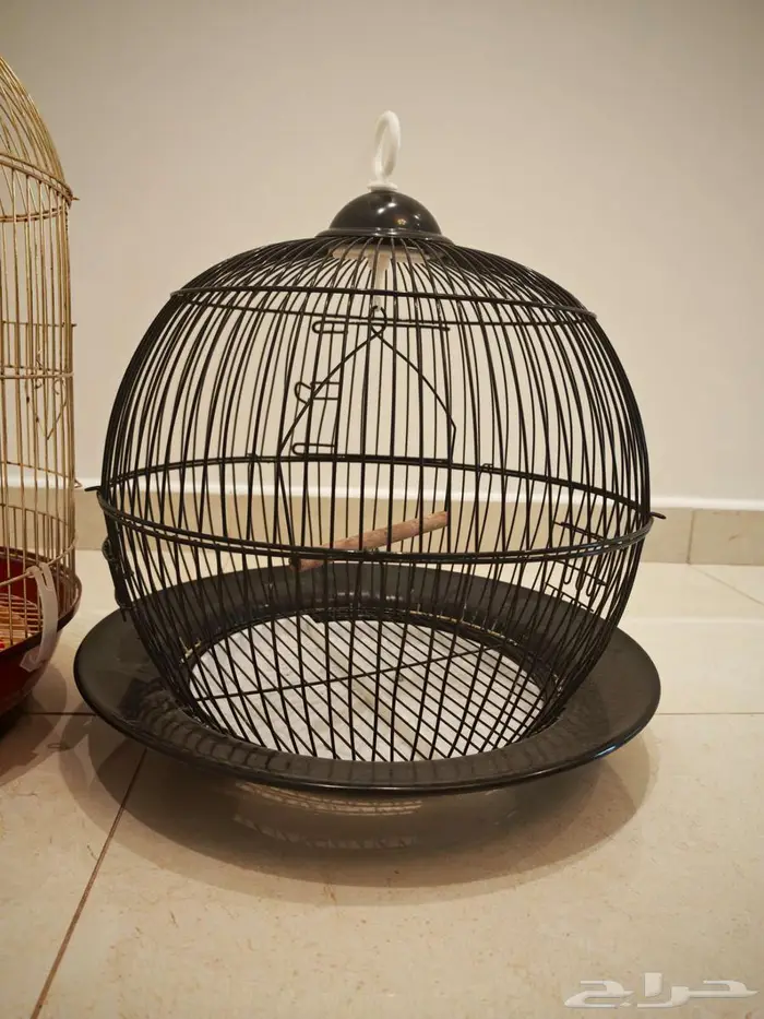 قفصين عصافير او طيور للبيع قفص 1