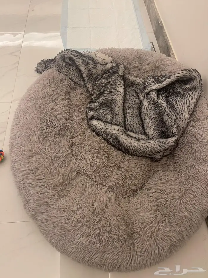 الرياض حي النموذجية 5