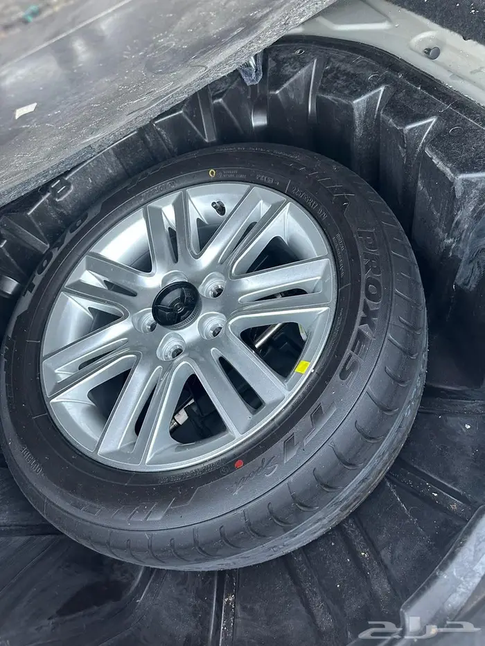 كابرس 2013 LS 14