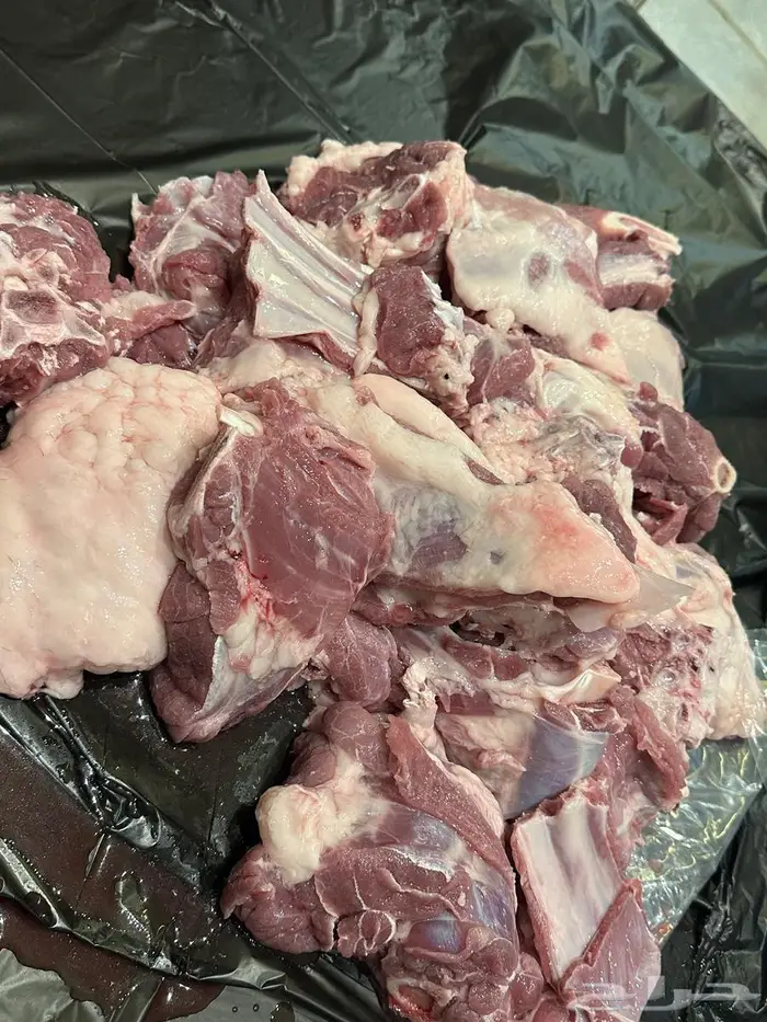 سواكني مرابي 6