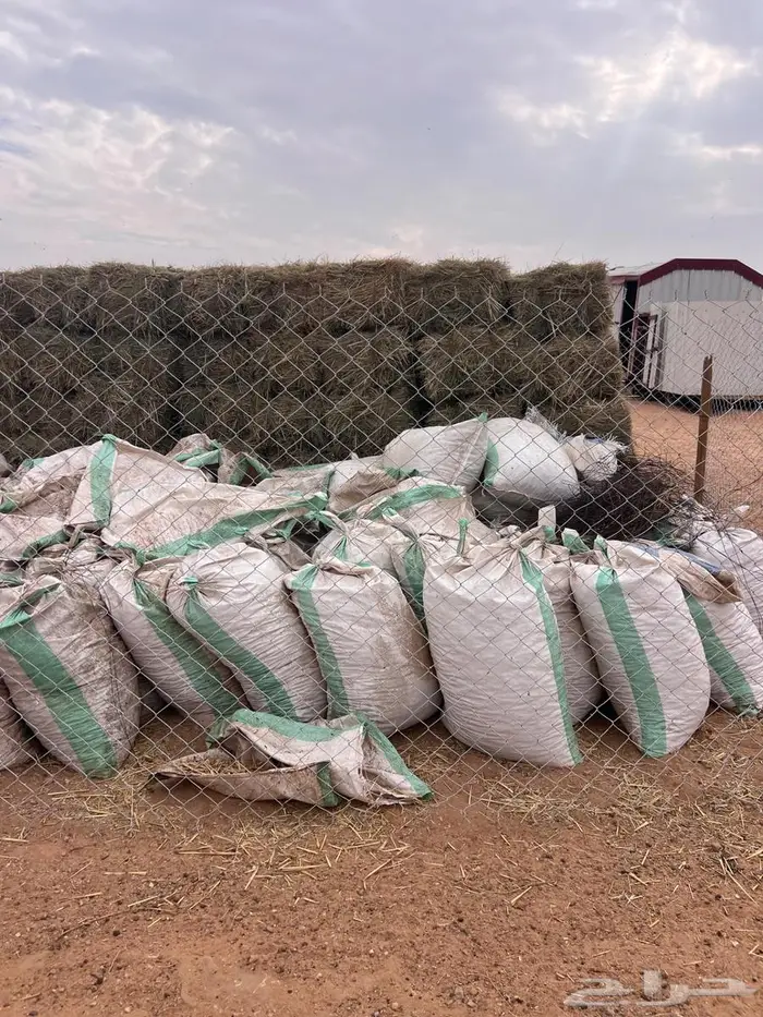 تمر للبهايم 0