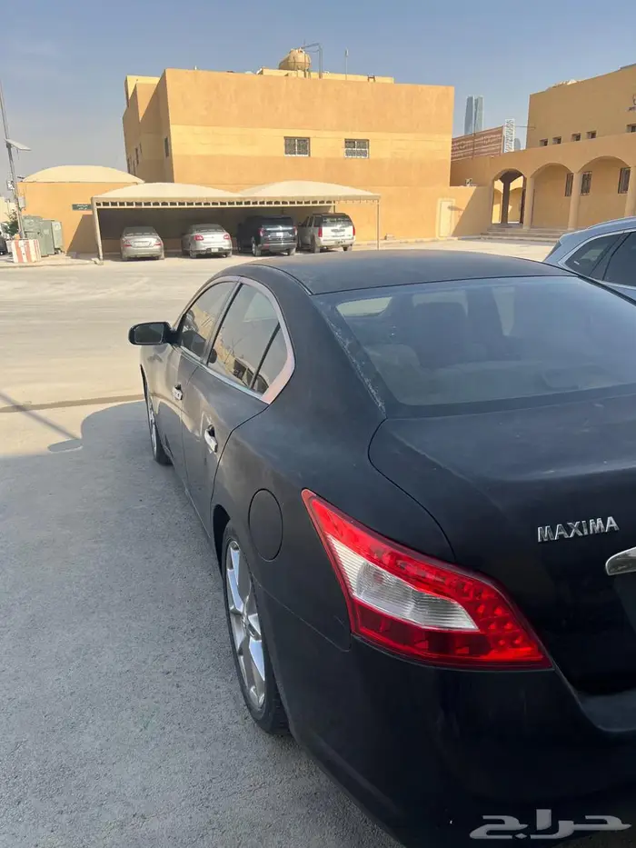 ماكسيما 2010 9