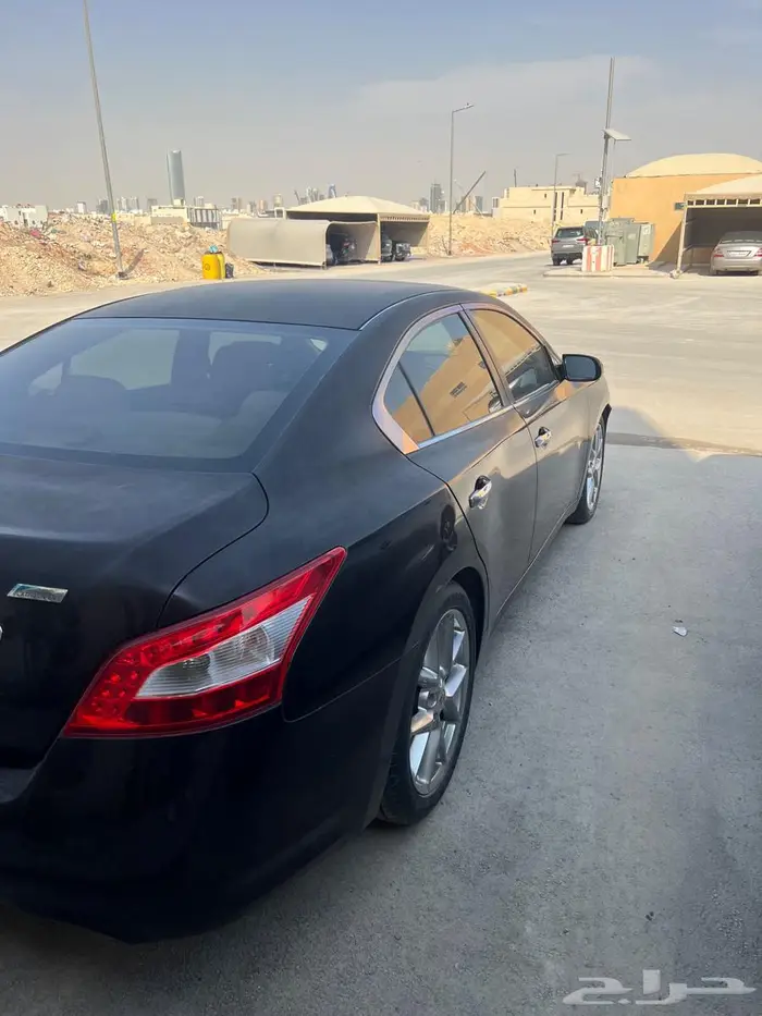 ماكسيما 2010 10