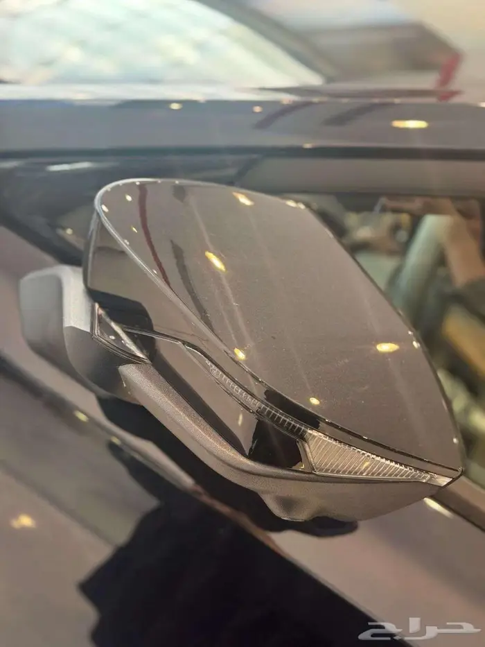 شنجان يوني في ايليت 2026 2