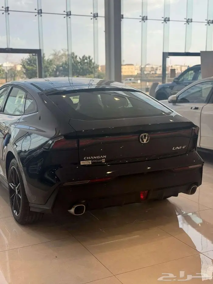 شنجان يوني في ايليت 2026 3