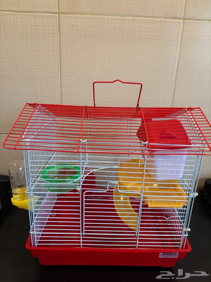 شوقر قلايدر 2