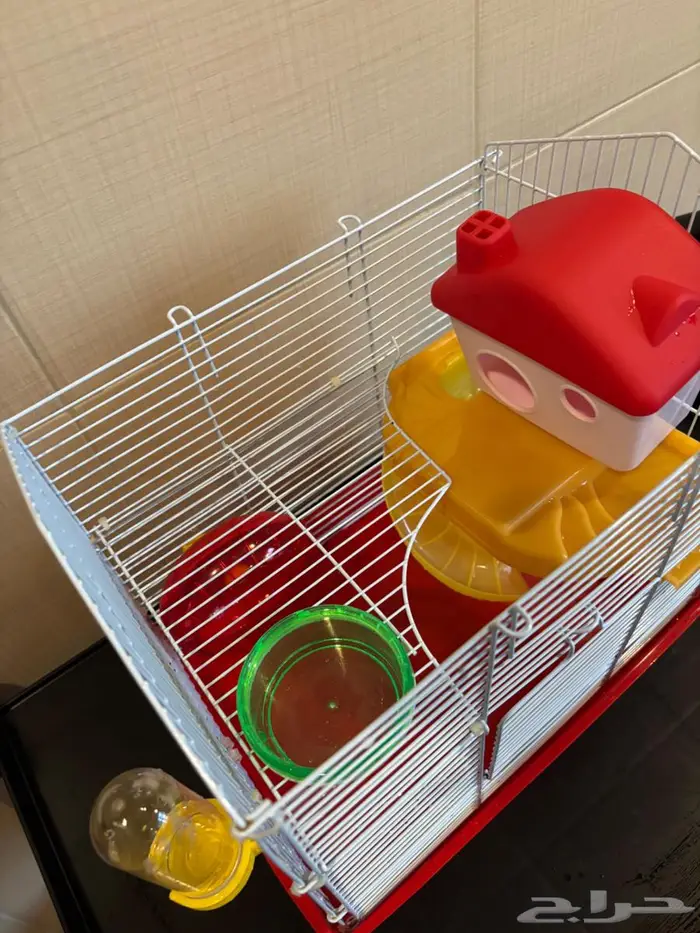 شوقر قلايدر 3