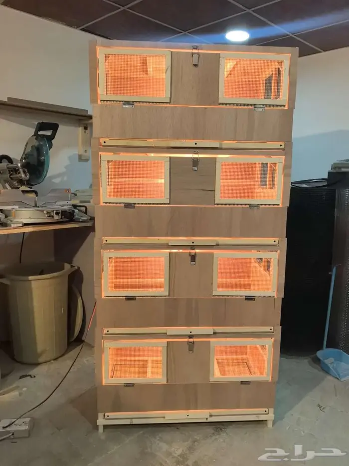 حضانة صوص إنتاج دواجن 0