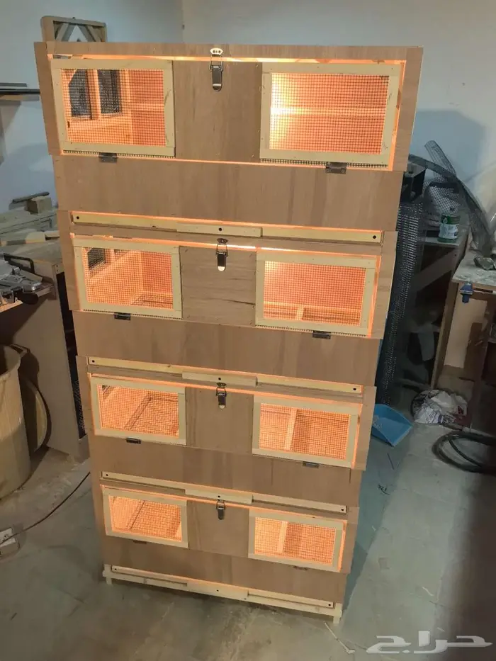 حضانة صوص إنتاج دواجن 1