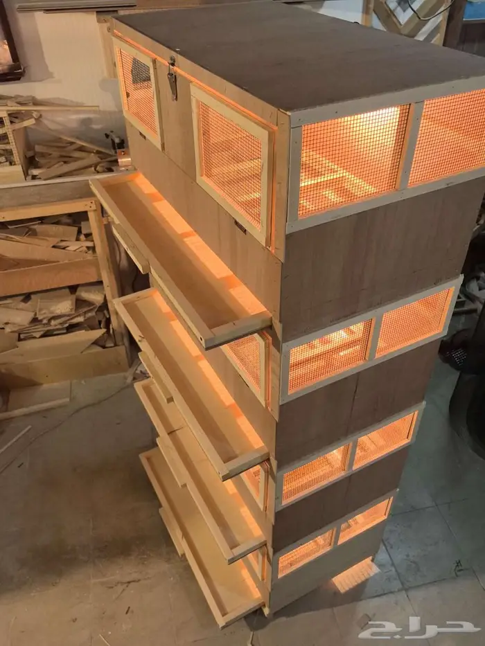 حضانة صوص إنتاج دواجن 3