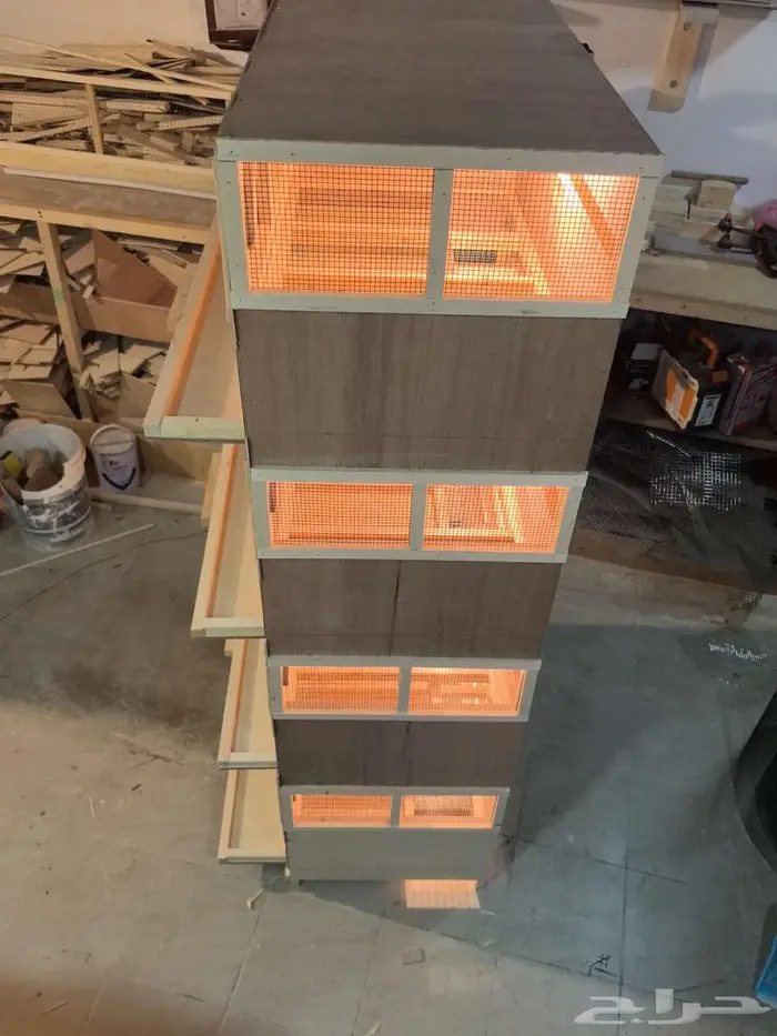 حضانة صوص إنتاج دواجن 4