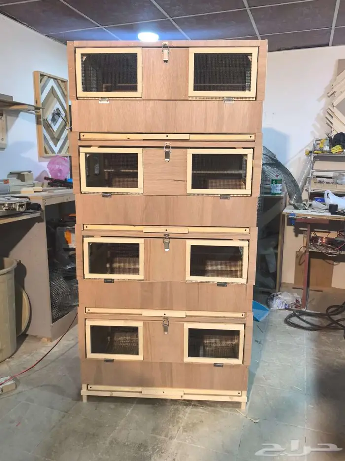 حضانة صوص إنتاج دواجن 5