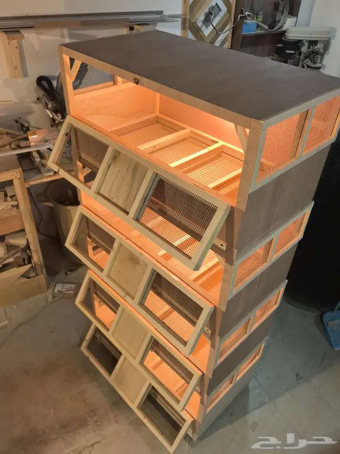 حضانة صوص إنتاج دواجن 2