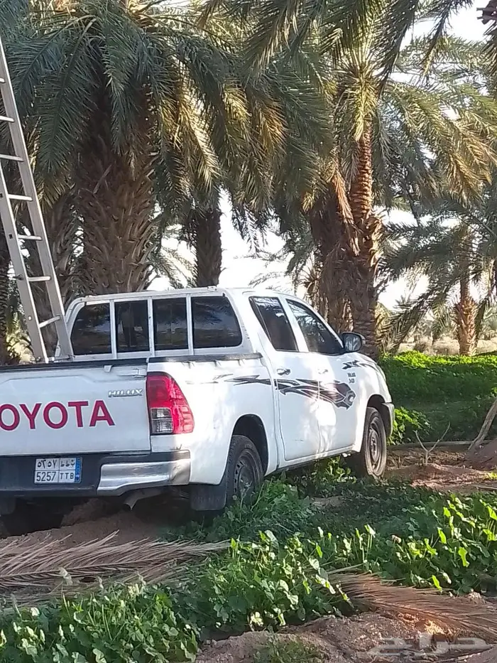 مطلوب مزرعة أو استراحة للايجار 1