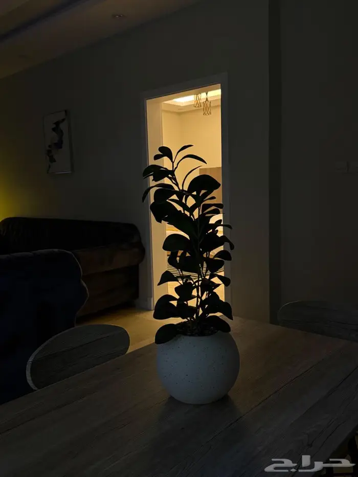 شقق مفروشه فندقيه فاخره 1