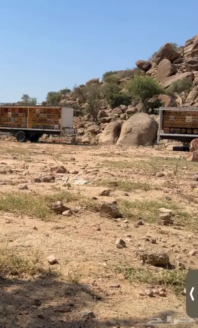 جمس نحل خلايا شمراني index