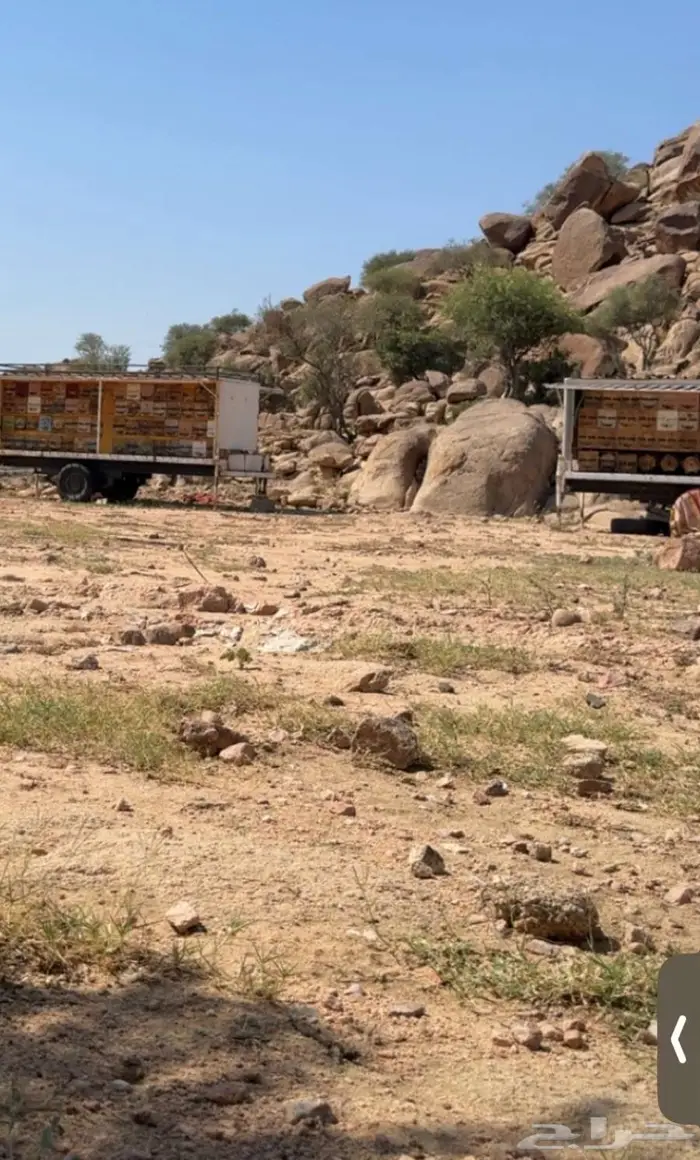 جمس نحل خلايا شمراني 7