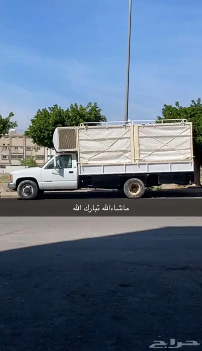 جمس نحل خلايا شمراني index