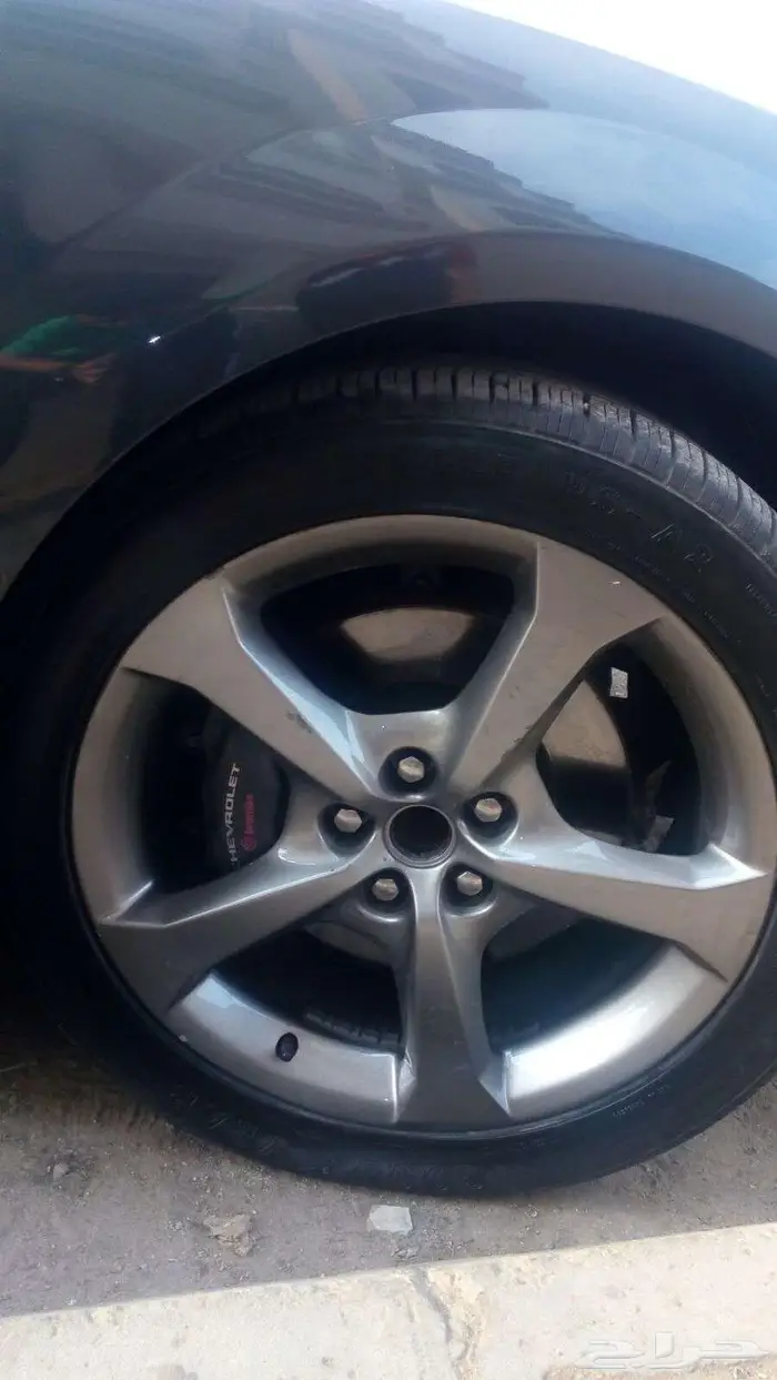 (((جنوط كومارو 2015 أصلية وكالة أو تقليد 28