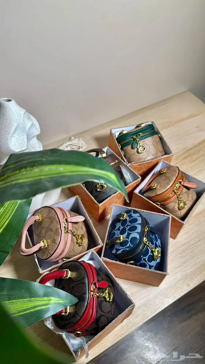 شنط كوتش ماستر كواليتي مع كامل الملحقات 7