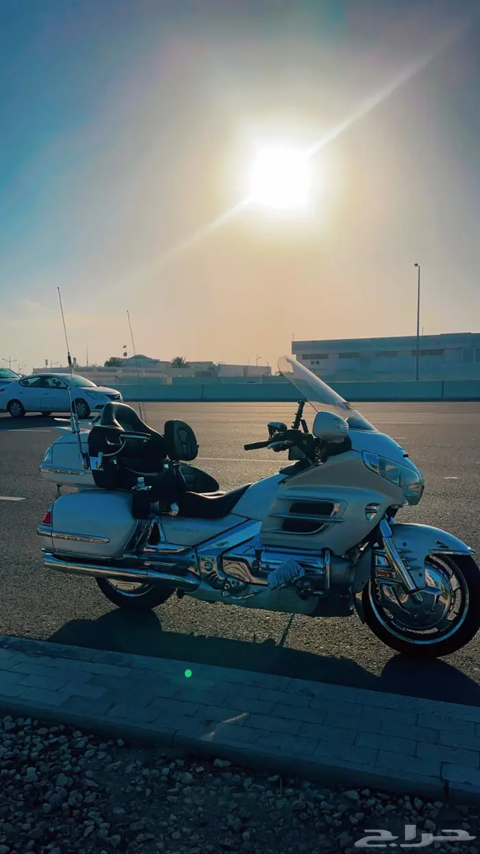 قولد وينق 2008 لفل 3 2