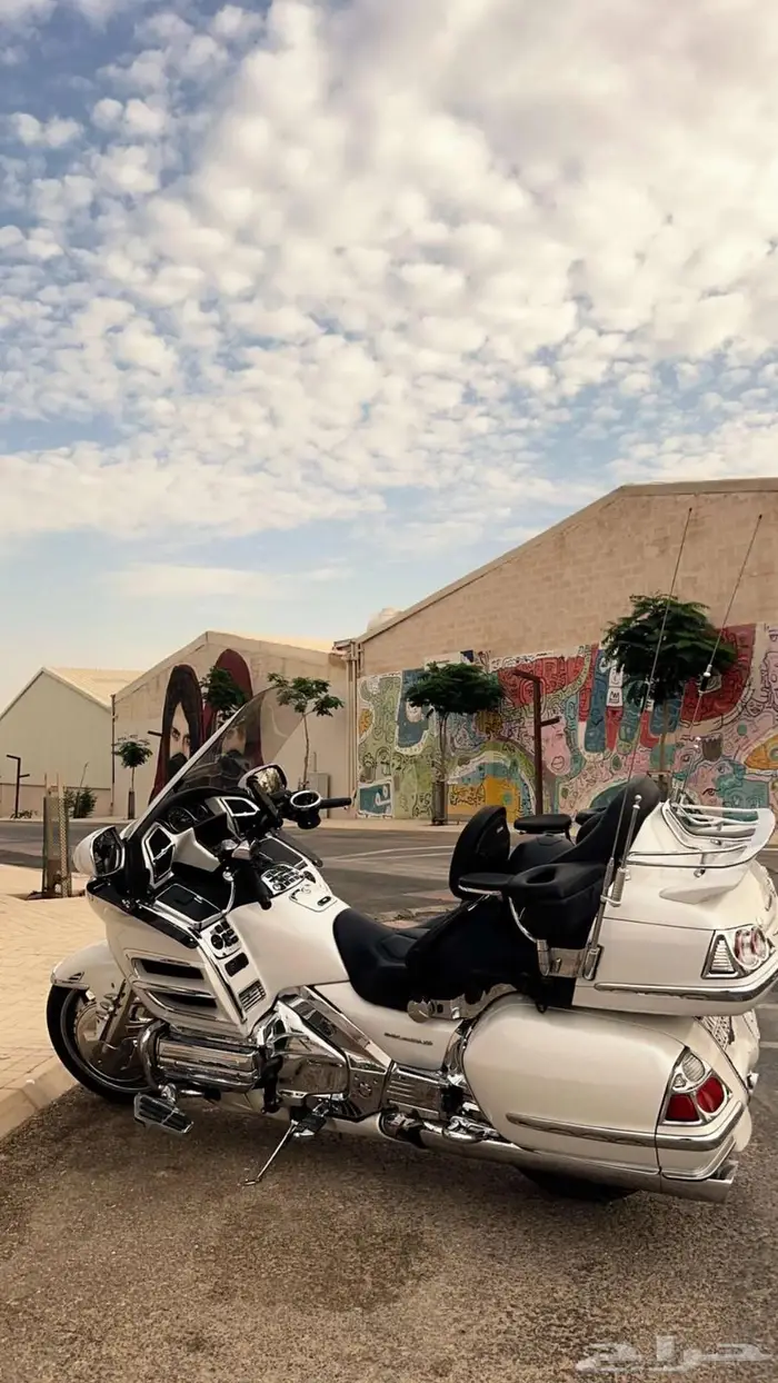 قولد وينق 2008 لفل 3 0